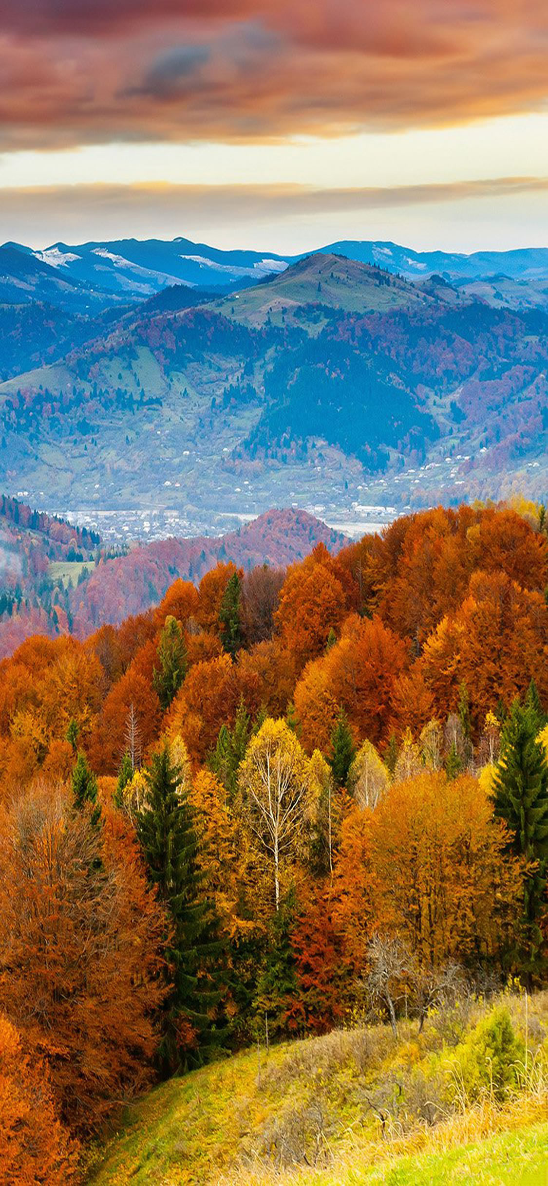 秋の山ラスティ森の色iphonex壁紙 Iphoneチーズ