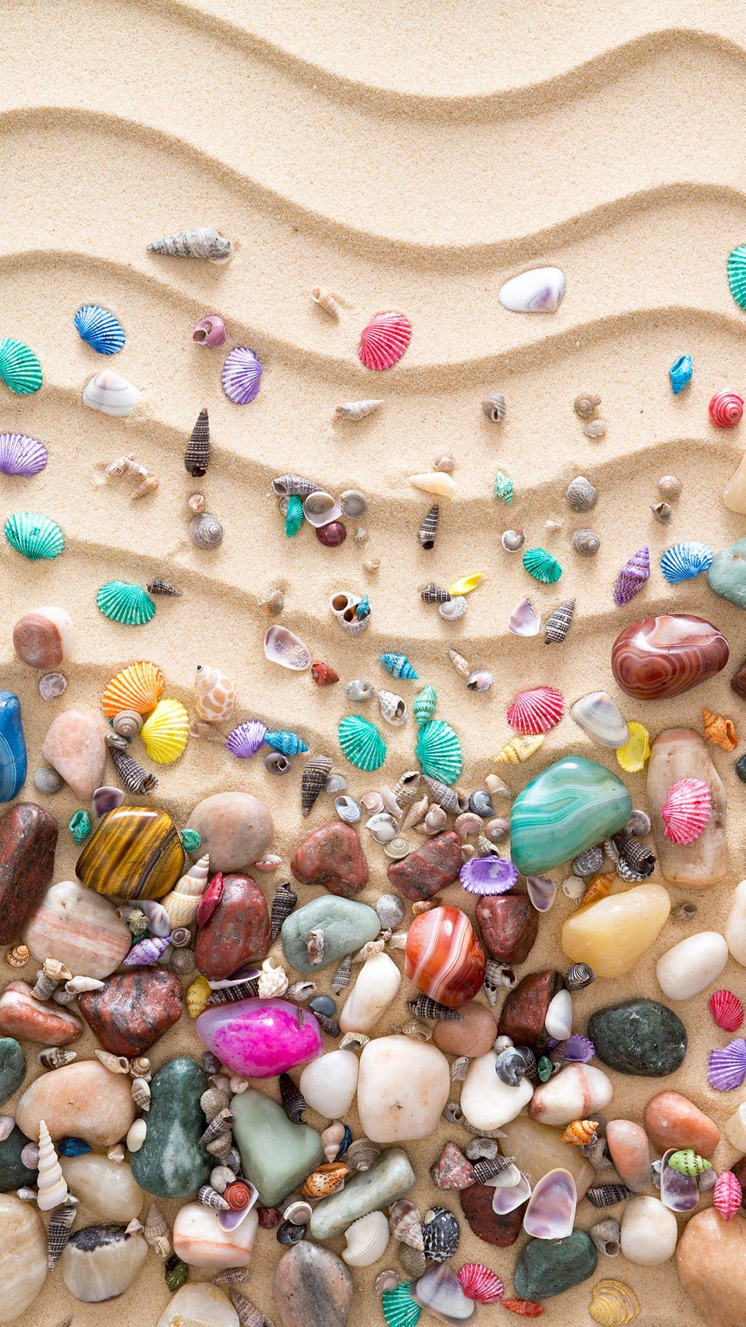 砂の上のカラフルな貝殻iphone 8 Plus Android自然壁紙 Iphoneチーズ