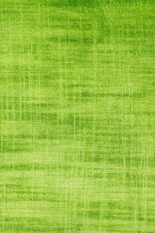 クールな緑生地テクスチャiPhone 5S壁紙