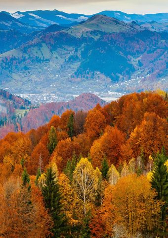 秋の山ラスティ森の色iPhoneX壁紙