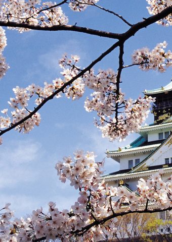 春の桜の宮殿の建築のiPhone 8 Plus壁紙