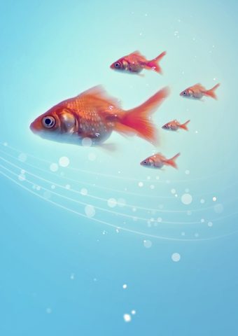 金魚iPhone5壁紙