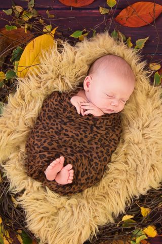 かわいい寝る赤ちゃんの秋は巣のために葉iPhone8Plus壁紙