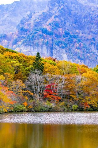 戸隠村湖の山樹木秋iPhone6Plus壁紙