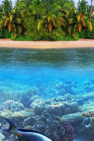 熱帯海のパラダイス島iPhone XS Max壁紙