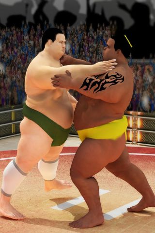 相撲摔角革命2019年iPhone壁紙