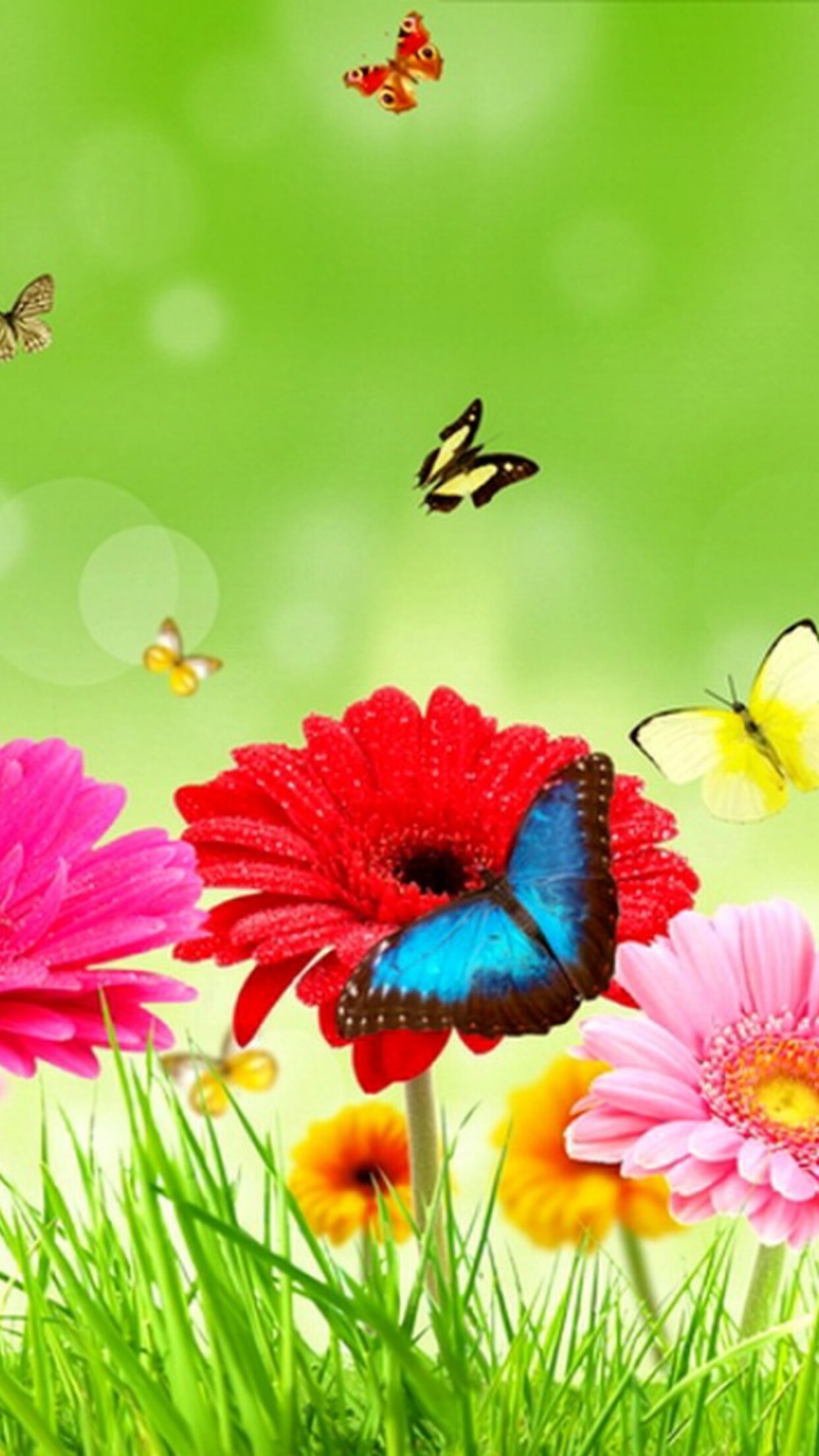 カラフルな春の花の美しい蝶 スマホ 壁紙 Iphone 6 Plus 自然 Iphoneチーズ