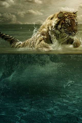 タイガージャンプシー水中ハンティング壁紙