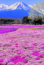 富士山の息を呑むような景色のスマホ壁紙